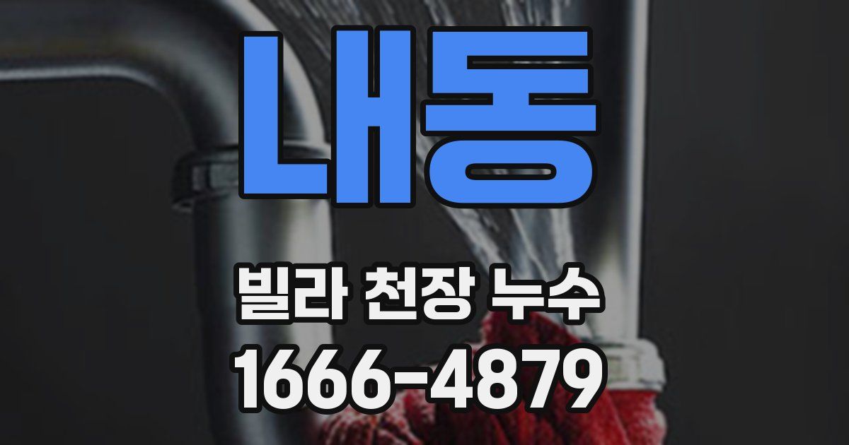 내동 빌라 천장 누수