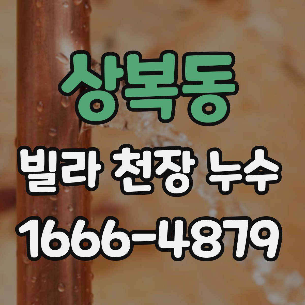 상복동 빌라 천장 누수