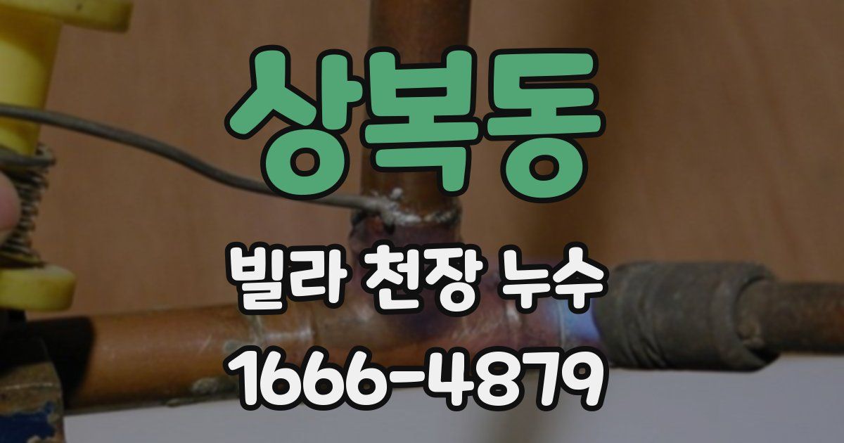 상복동 빌라 천장 누수