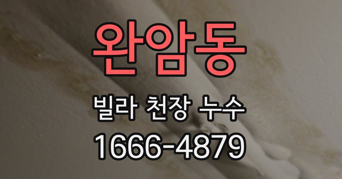 완암동 빌라 천장 누수