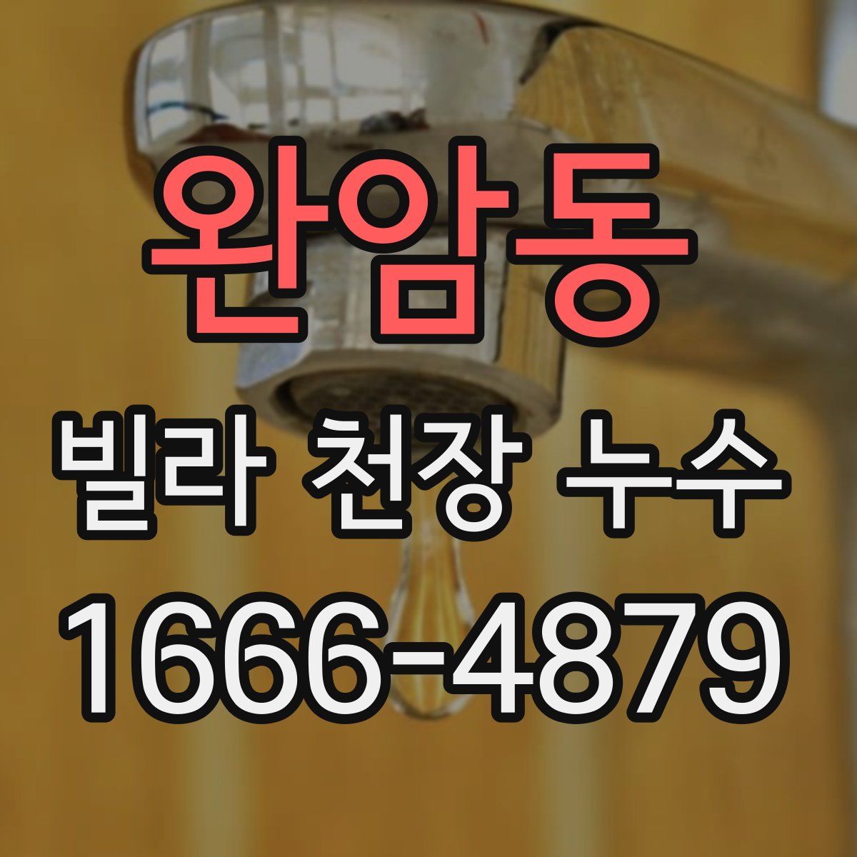 완암동 빌라 천장 누수