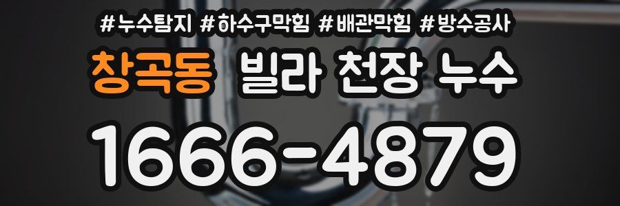 창곡동 빌라 천장 누수