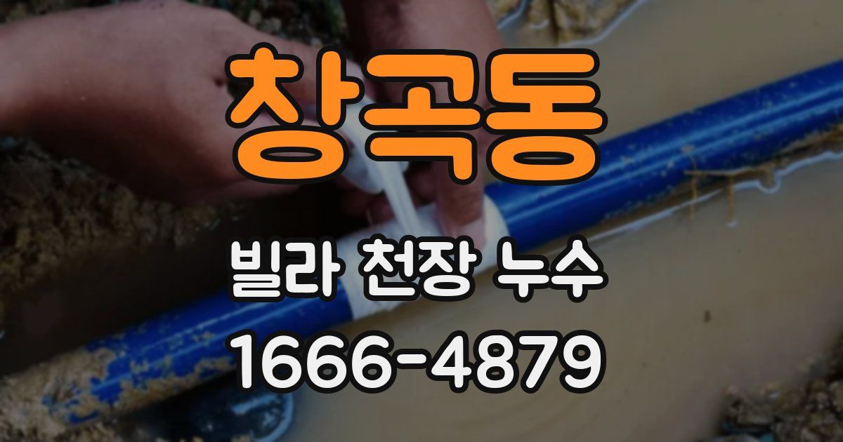 창곡동 빌라 천장 누수