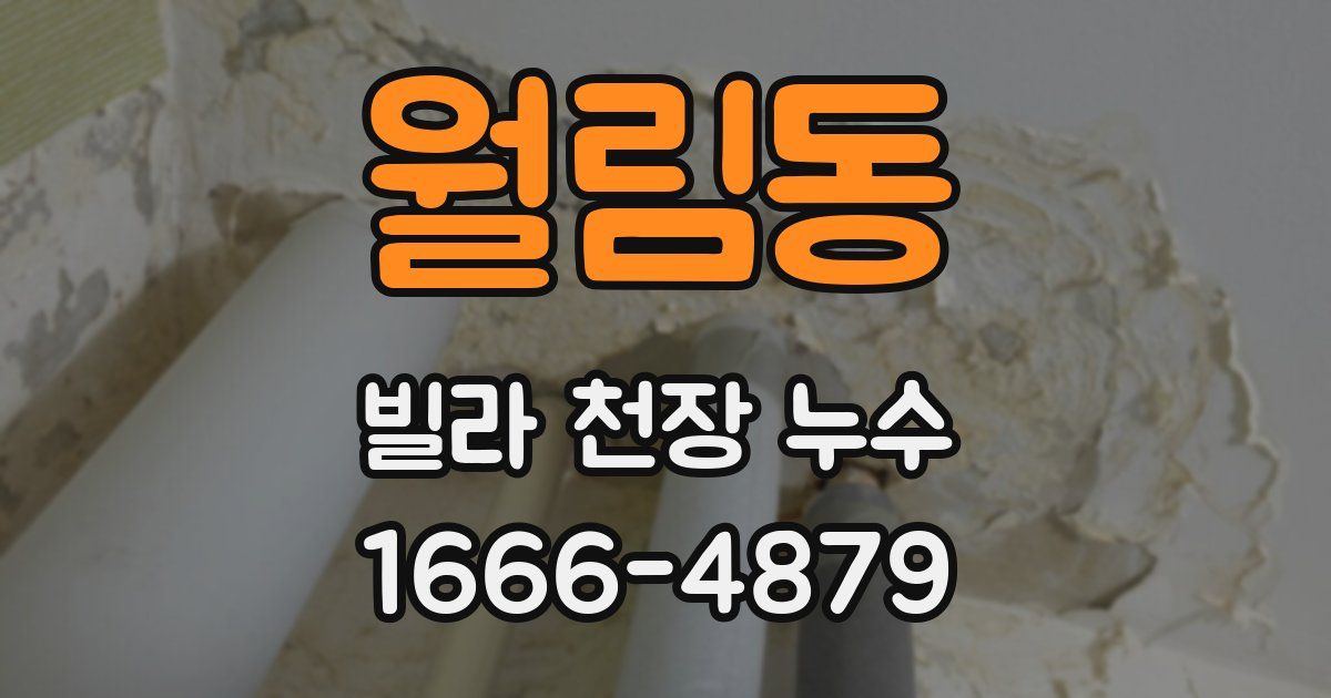 월림동 빌라 천장 누수