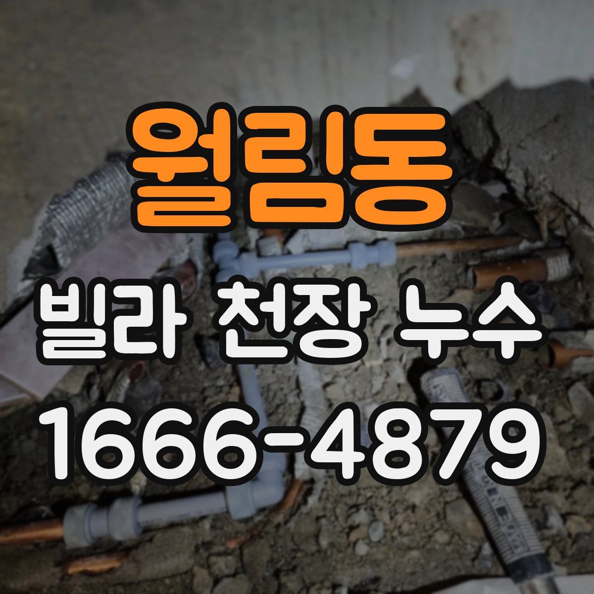 월림동 빌라 천장 누수