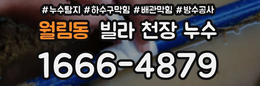 월림동 빌라 천장 누수