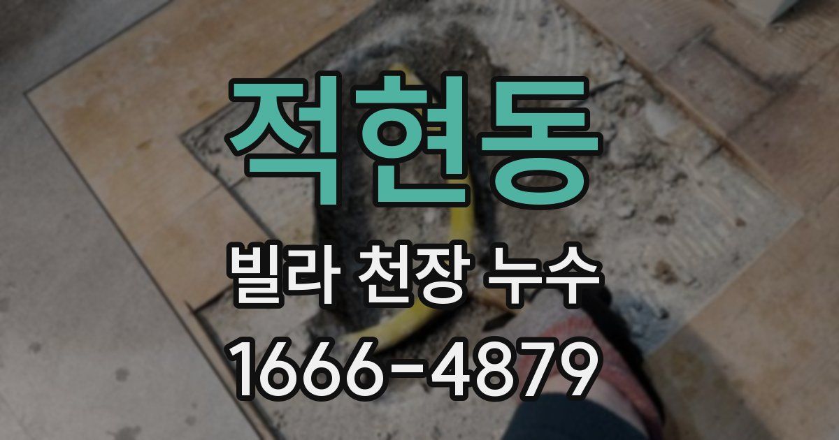 적현동 빌라 천장 누수