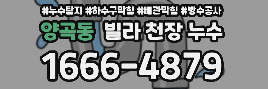 양곡동 빌라 천장 누수