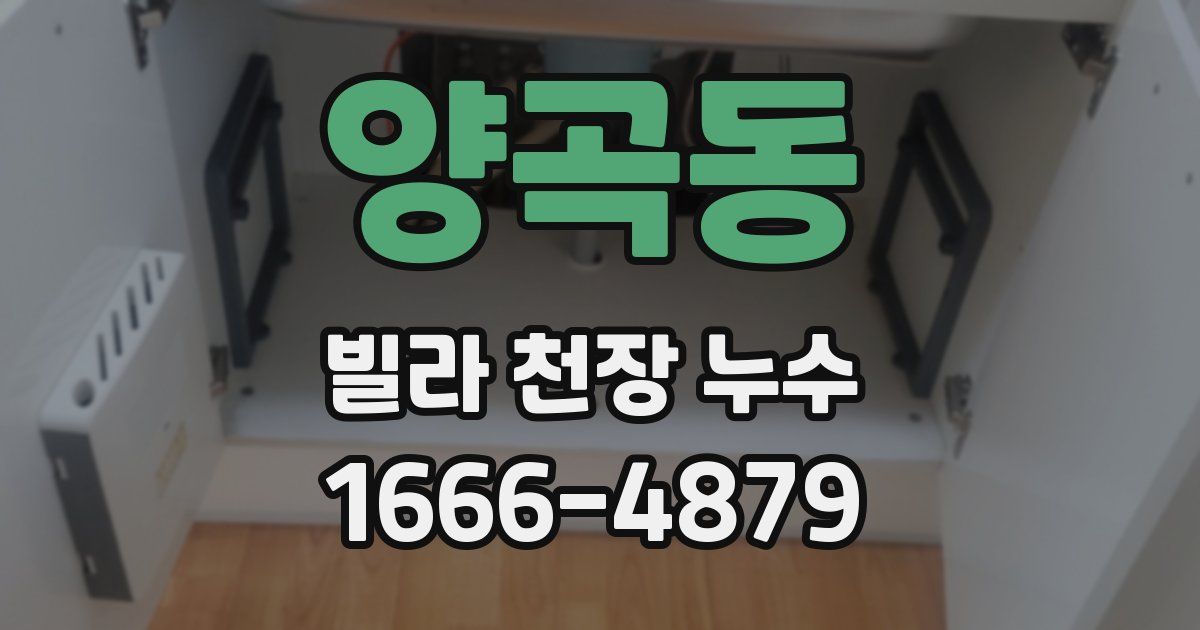 양곡동 빌라 천장 누수