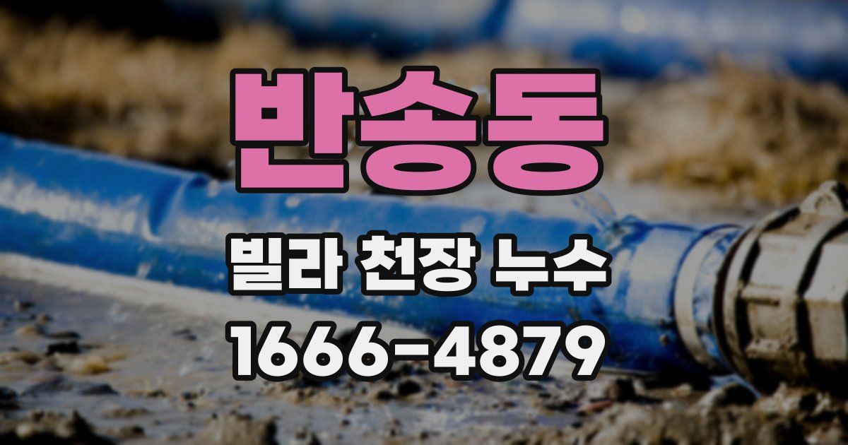 반송동 빌라 천장 누수