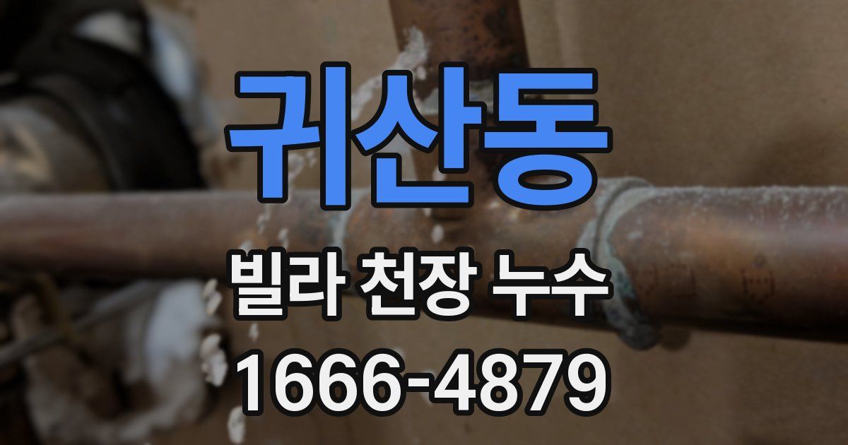 귀산동 빌라 천장 누수