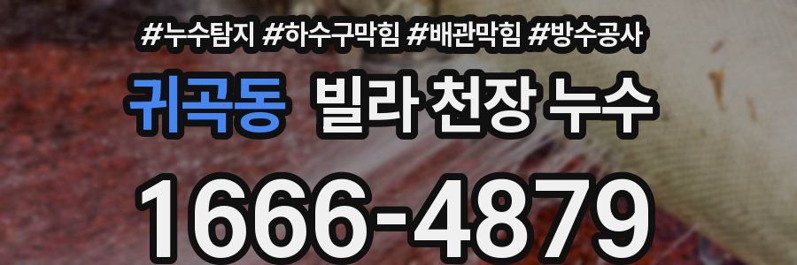 귀곡동 빌라 천장 누수