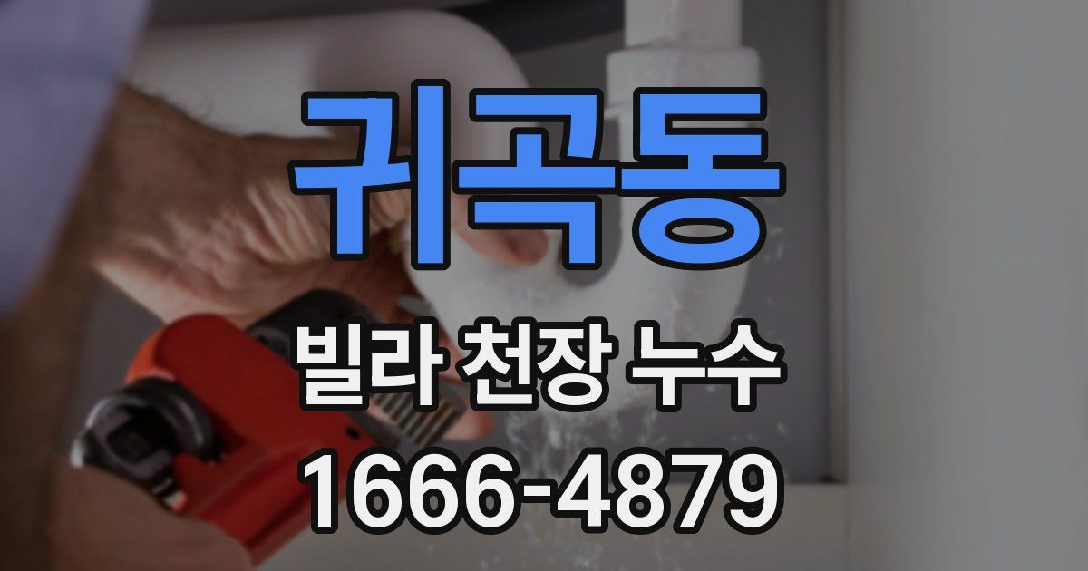 귀곡동 빌라 천장 누수