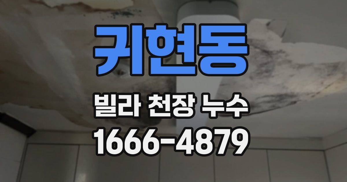 귀현동 빌라 천장 누수