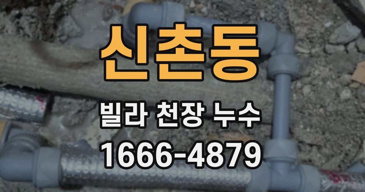 신촌동 빌라 천장 누수