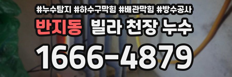 반지동 빌라 천장 누수