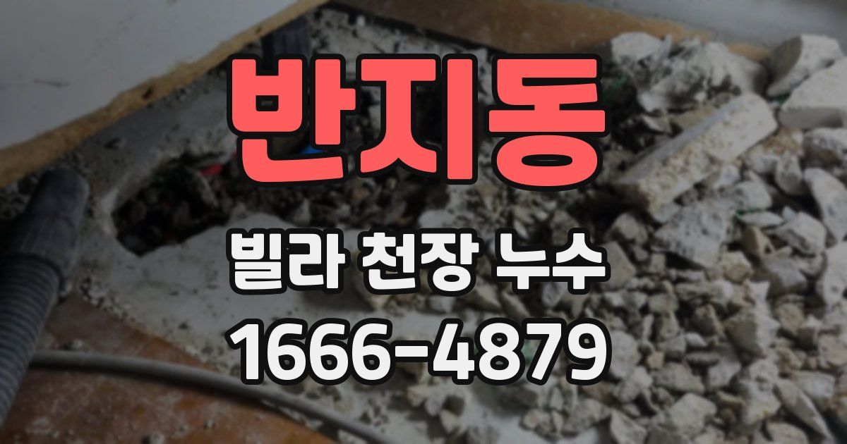 반지동 빌라 천장 누수