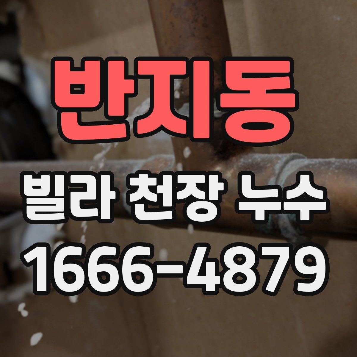 반지동 빌라 천장 누수