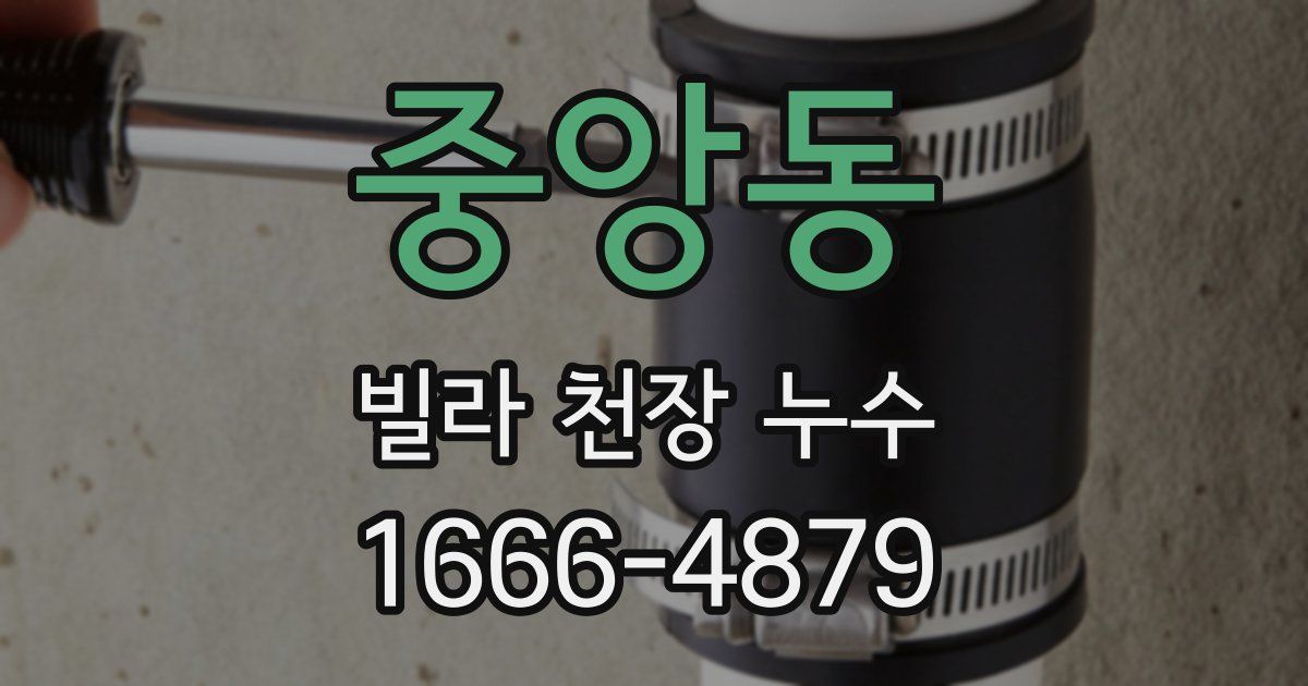 중앙동 빌라 천장 누수