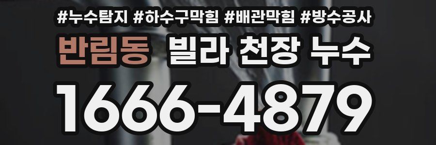 반림동 빌라 천장 누수