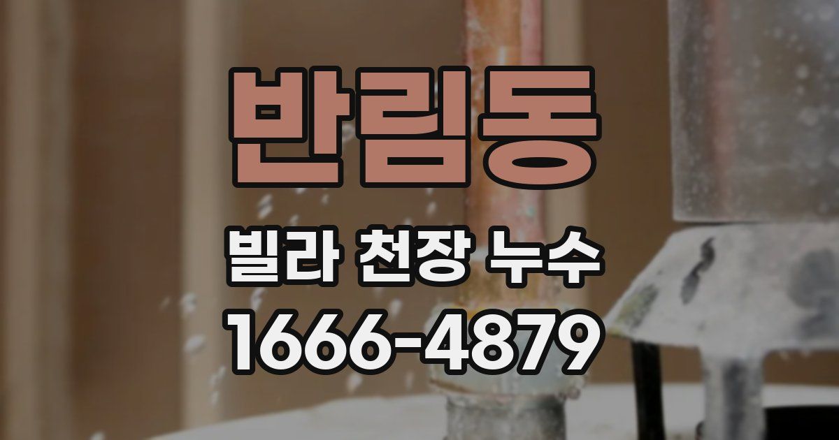 반림동 빌라 천장 누수