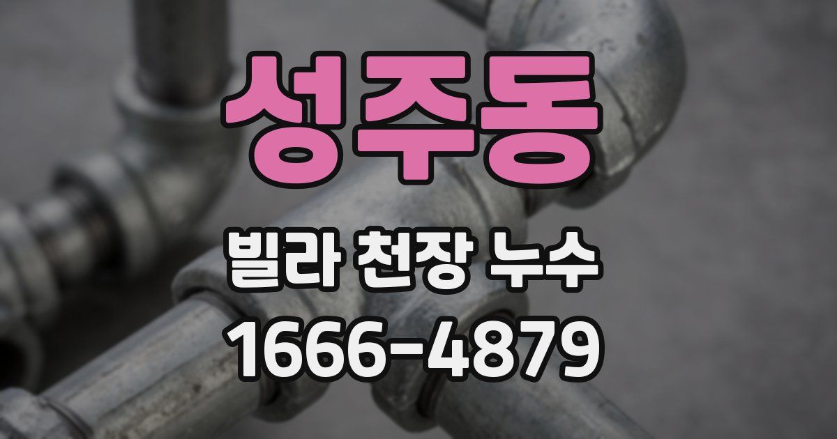 성주동 빌라 천장 누수