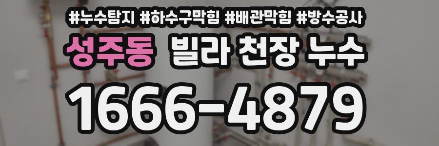 성주동 빌라 천장 누수