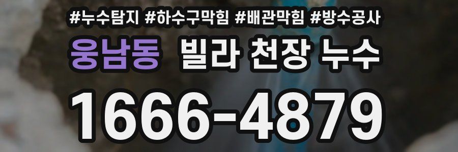 웅남동 빌라 천장 누수