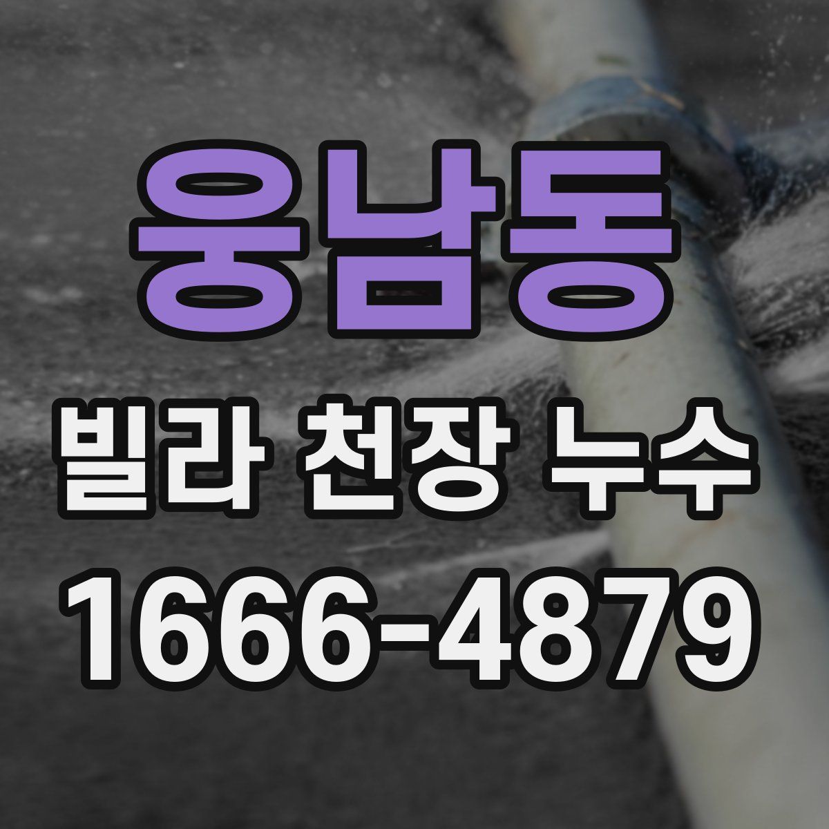 웅남동 빌라 천장 누수