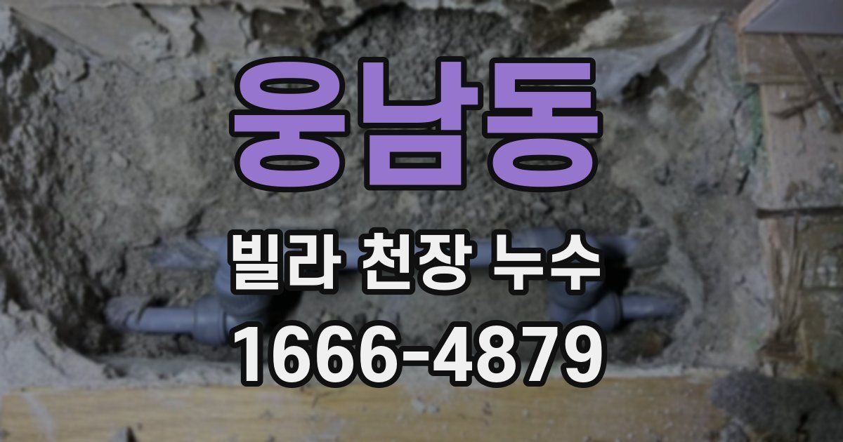웅남동 빌라 천장 누수