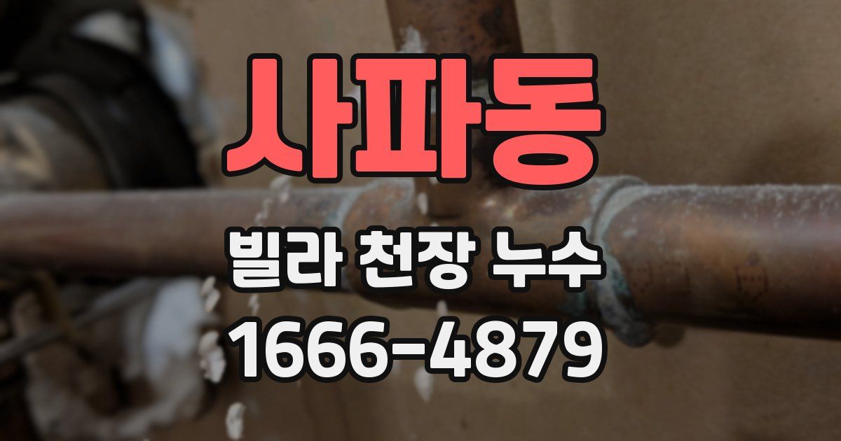사파동 빌라 천장 누수