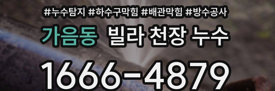 가음동 빌라 천장 누수