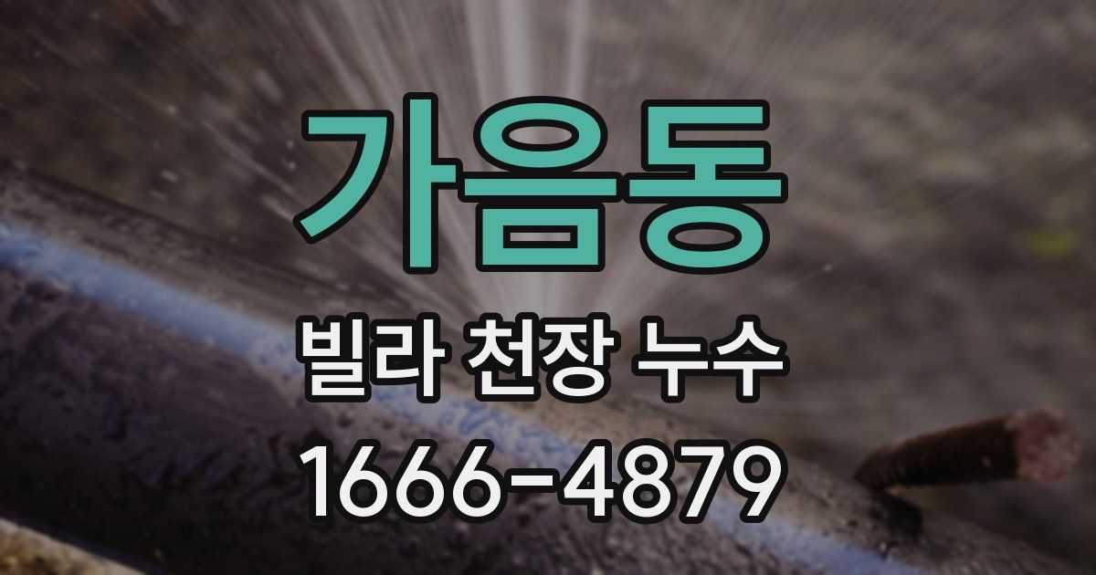 가음동 빌라 천장 누수