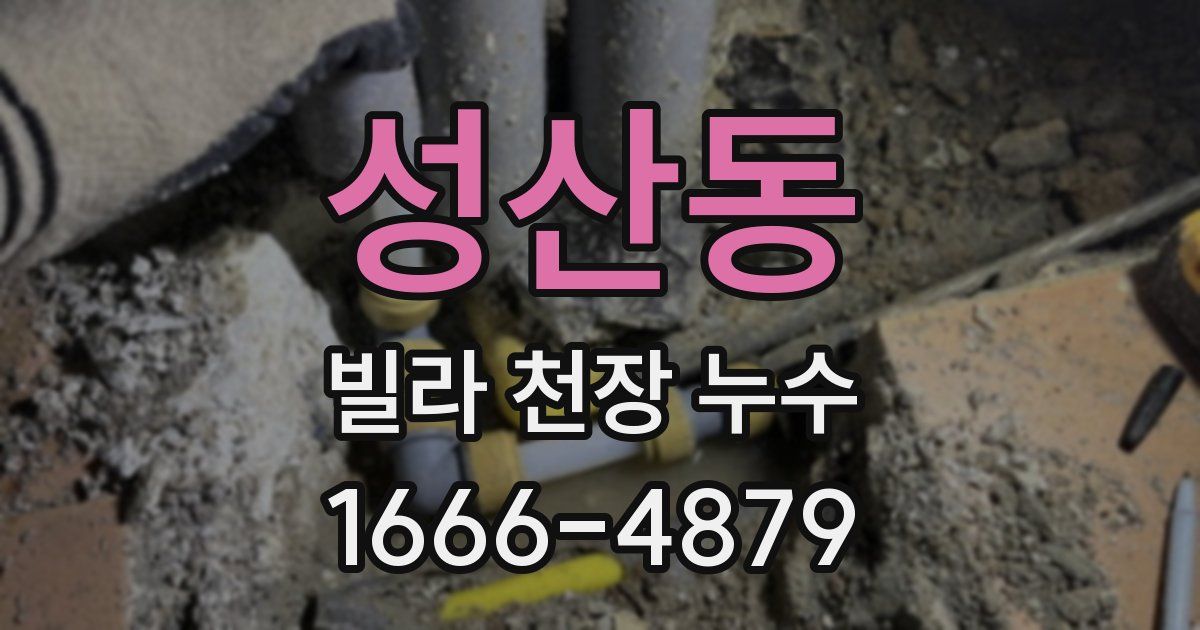 성산동 빌라 천장 누수