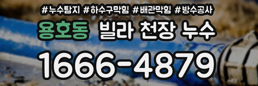용호동 빌라 천장 누수