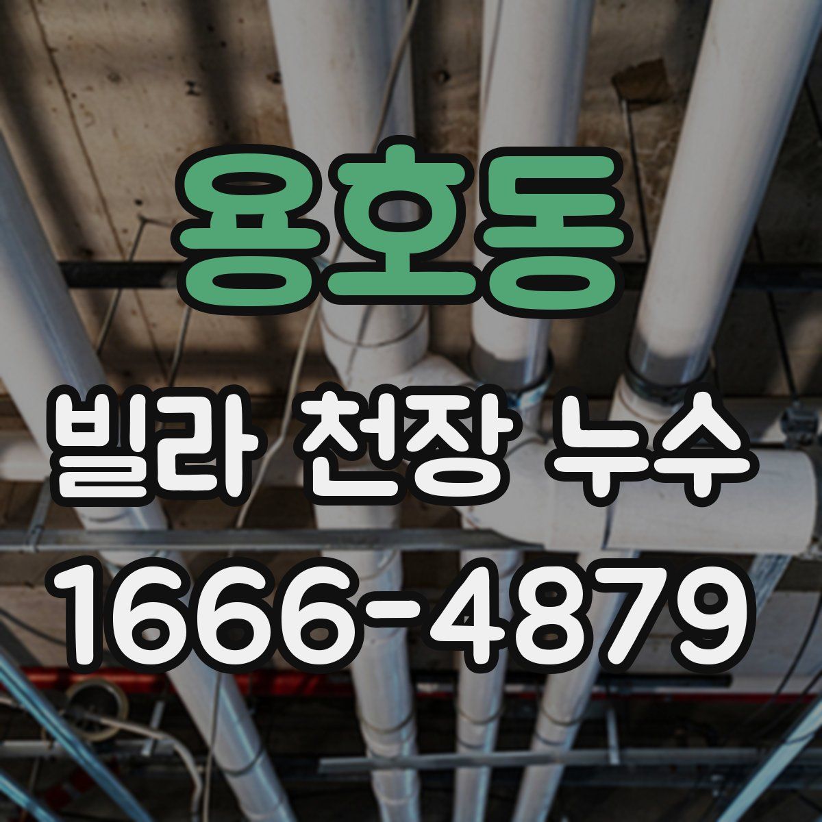 용호동 빌라 천장 누수