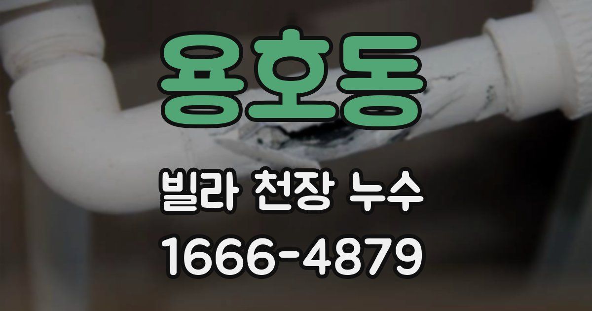 용호동 빌라 천장 누수