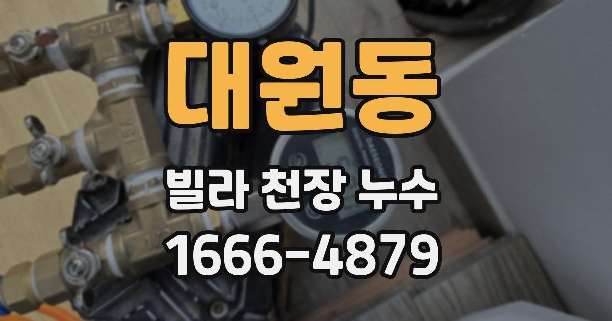 대원동 빌라 천장 누수