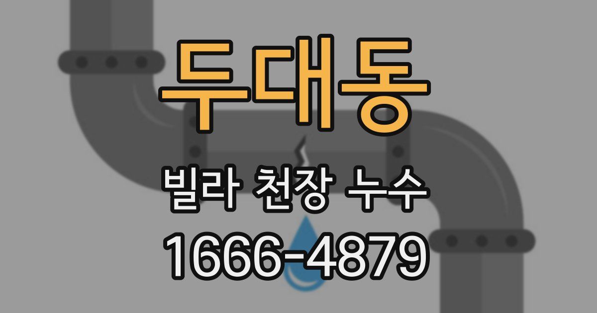 두대동 빌라 천장 누수