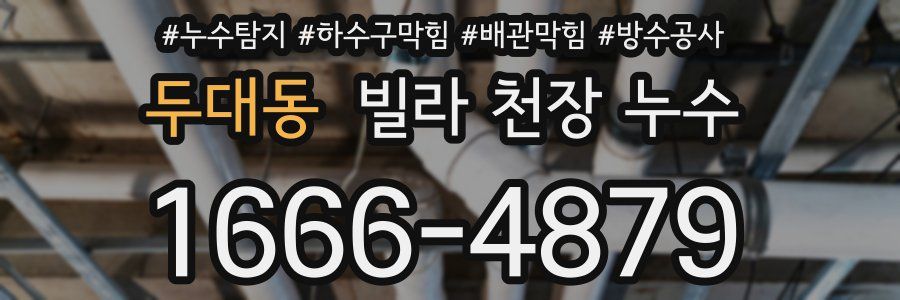 두대동 빌라 천장 누수