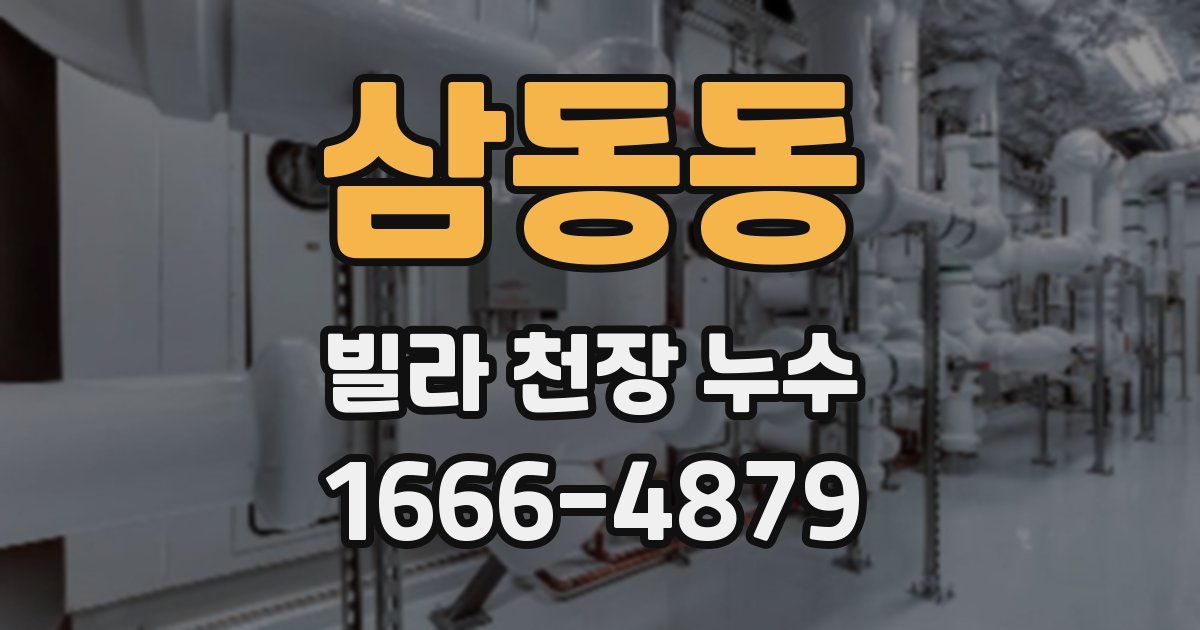 삼동동 빌라 천장 누수