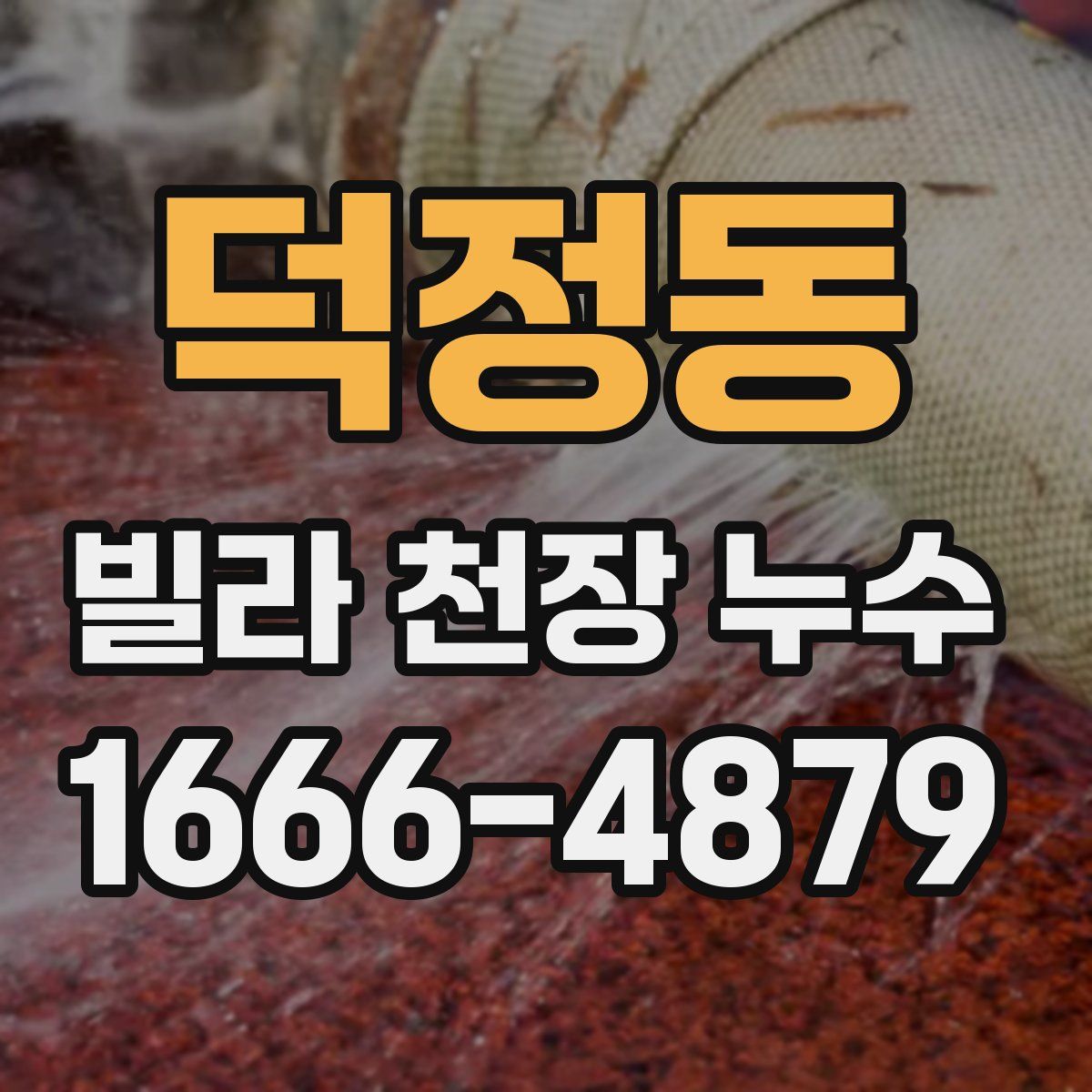 덕정동 빌라 천장 누수