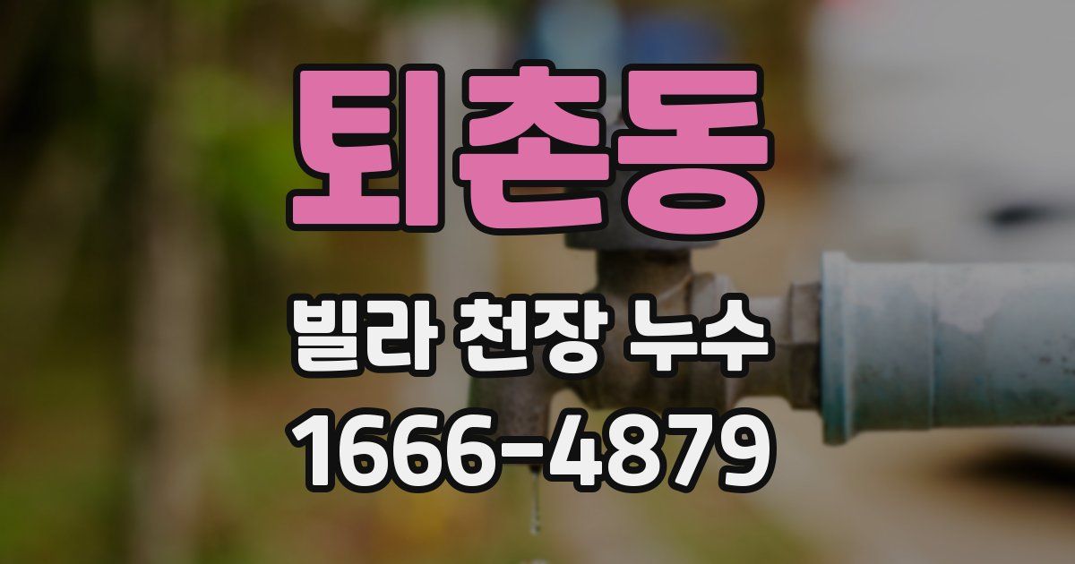 퇴촌동 빌라 천장 누수