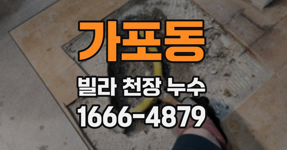 가포동 빌라 천장 누수