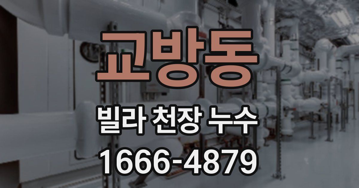 교방동 빌라 천장 누수
