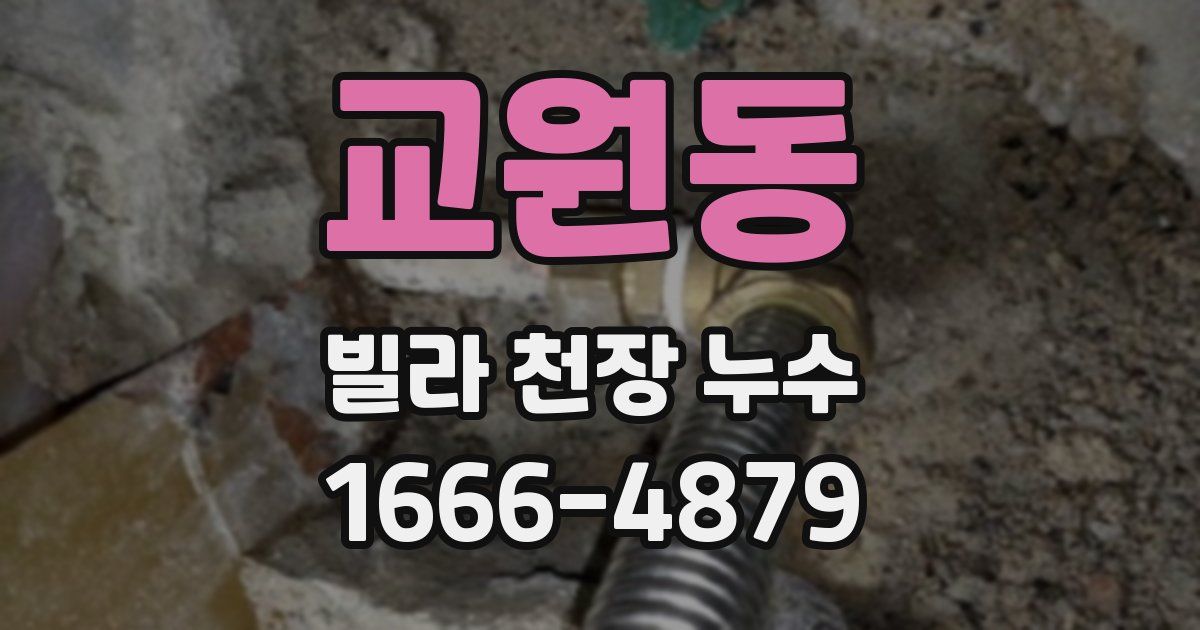 교원동 빌라 천장 누수