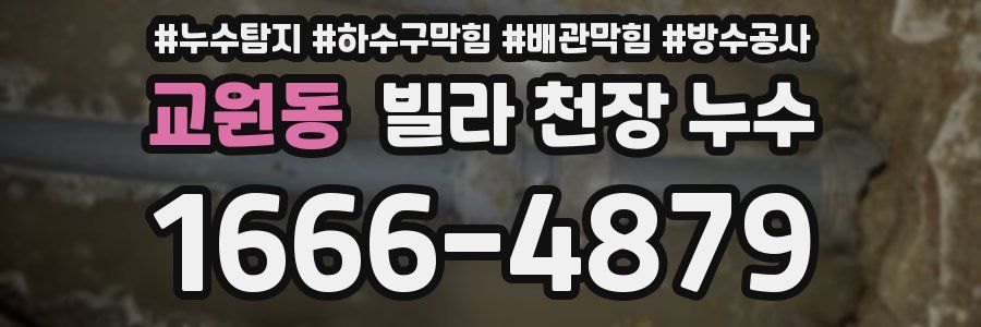 교원동 빌라 천장 누수