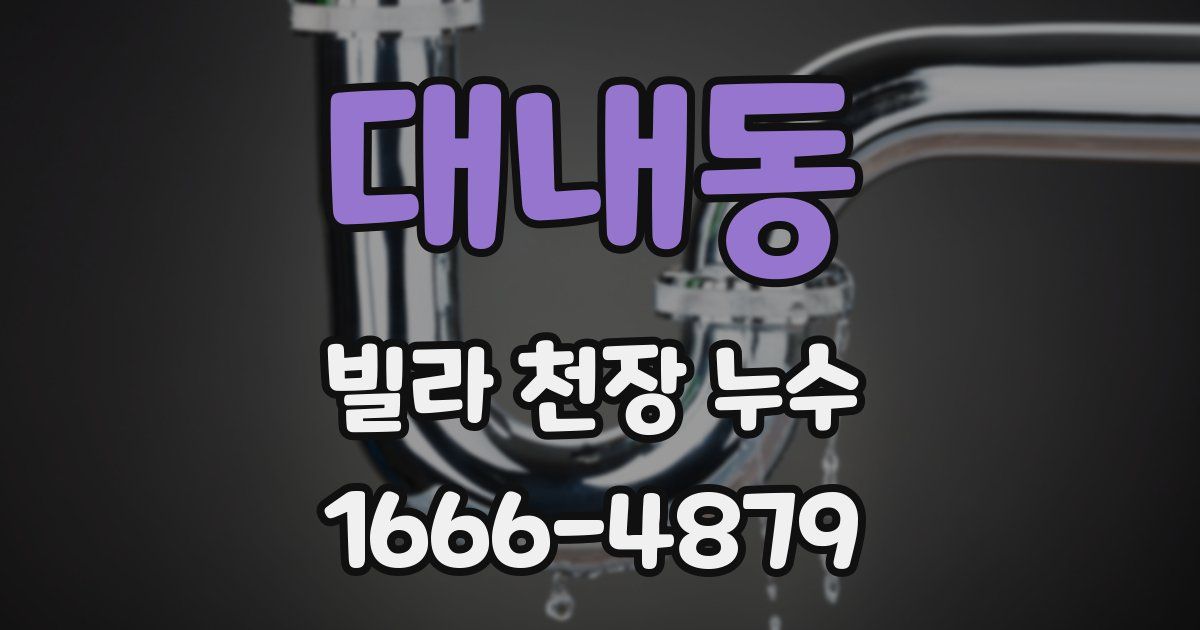 대내동 빌라 천장 누수