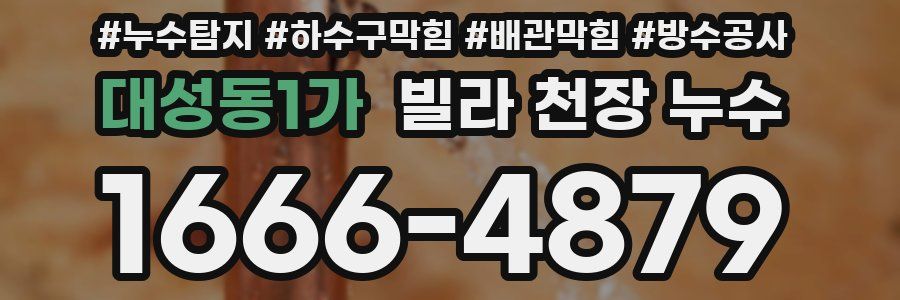 대성동1가 빌라 천장 누수