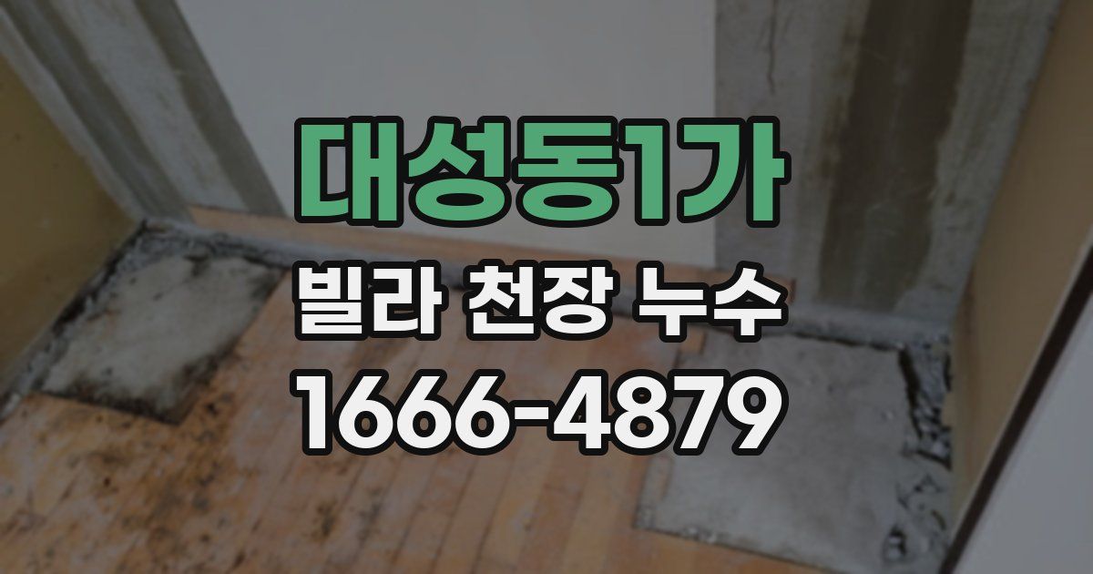 대성동1가 빌라 천장 누수